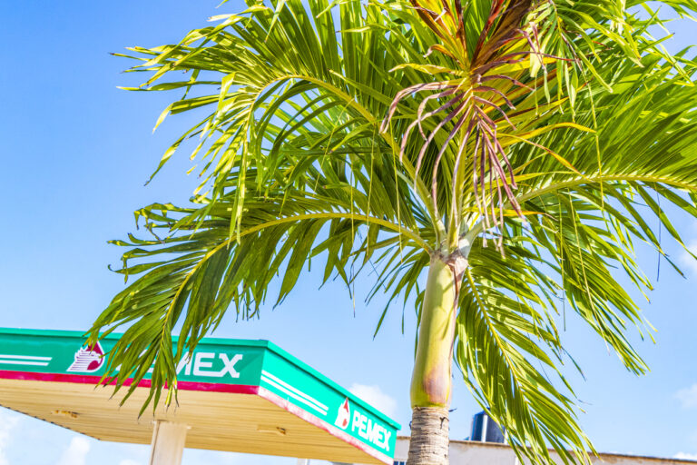 Pemex and Petrobras bet big on high-risk high-reward drilling off Mexico