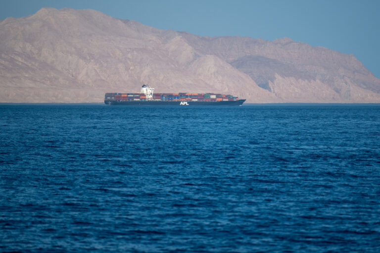 Shipping slows through Strait of Hormuz after tanker attacks, data shows
